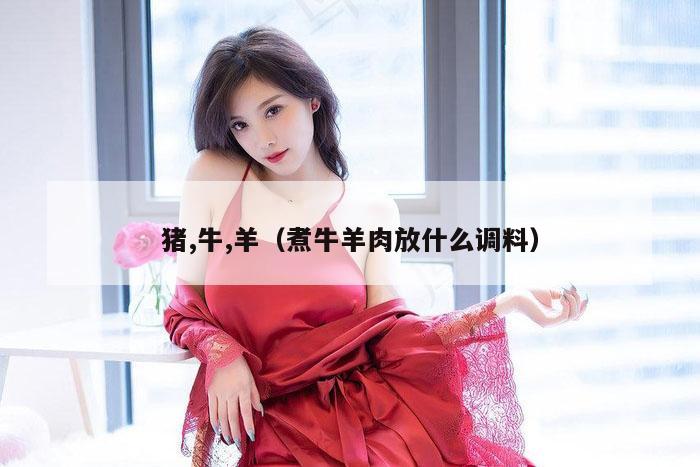 猪,牛,羊（煮牛羊肉放什么调料）