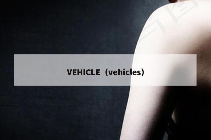 VEHICLE（vehicles）